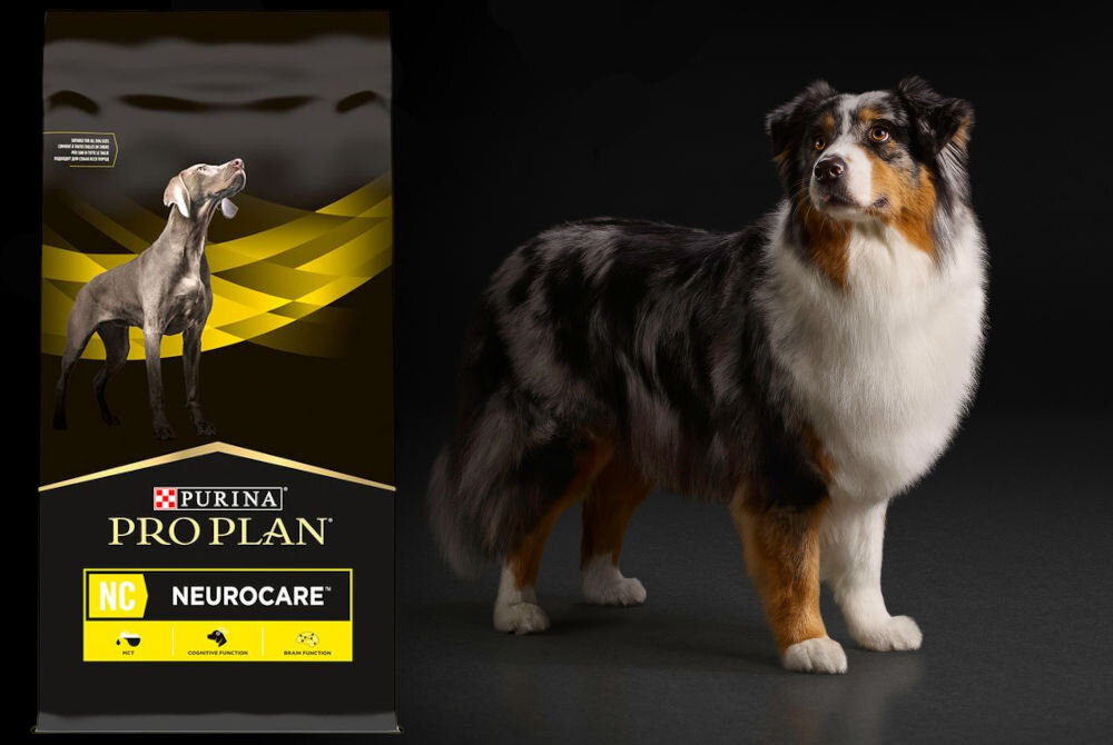 Karma dla psa PURINA Pro Plan Veterinary Diets Canine NC Neurocare 12 kg dodatki analiza