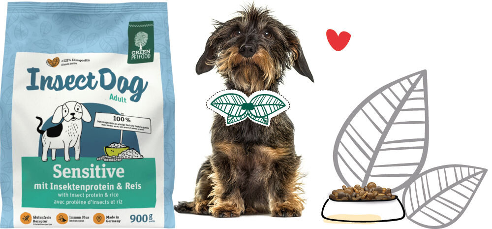 Karma dla psa GREEN PETFOOD InsectDog Sensitive Białko owadów z ryżem 900 g naturalne składniki