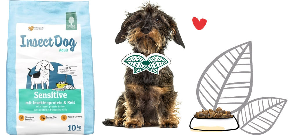 Karma dla psa GREEN PETFOOD InsectDog Sensitive Białko owadów z ryżem 10 kg naturalne składniki