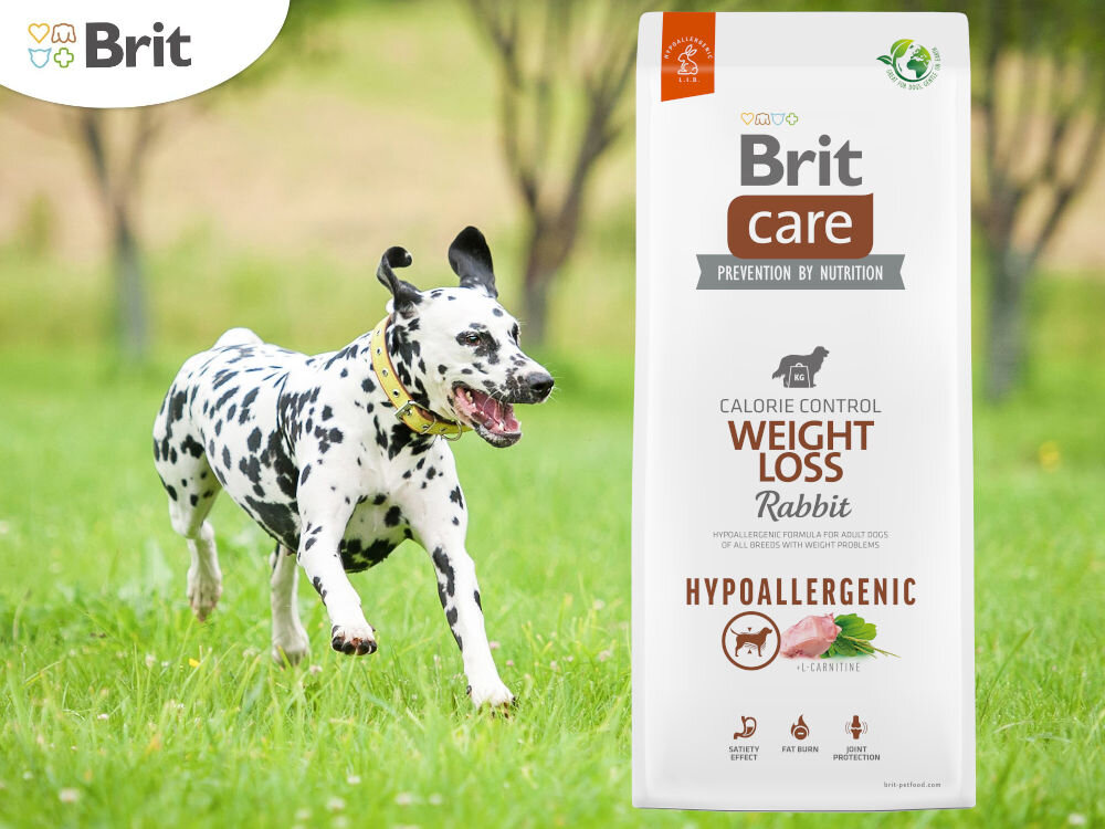 Karma dla psa BRIT CARE Dog Hypoallergenic Weight Loss 1 kg witaminy zdrowie
