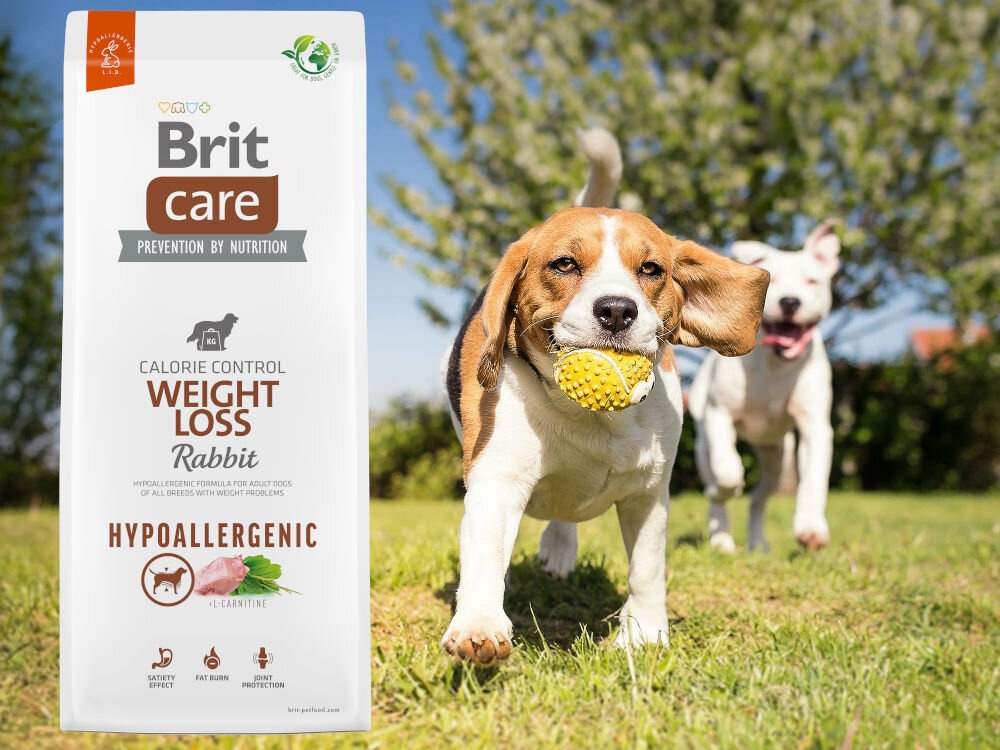 Karma dla psa BRIT CARE Dog Hypoallergenic Weight Loss 1 kg sklad zywienie