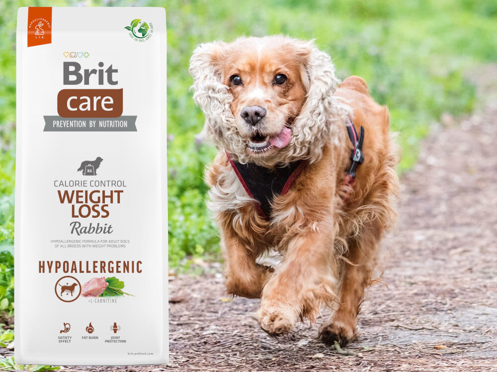 Karma dla psa BRIT CARE Dog Hypoallergenic Weight Loss 1 kg dodatki analiza