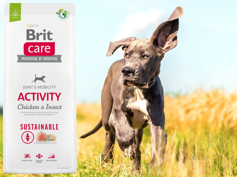 Karma dla psa BRIT CARE Dog Sustainable Activity Kurczak i owady 12 kg witaminy zdrowie