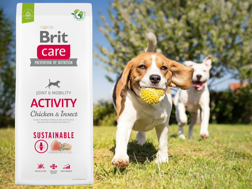 Karma dla psa BRIT CARE Dog Sustainable Activity Kurczak i owady 12 kg sklad zywienie