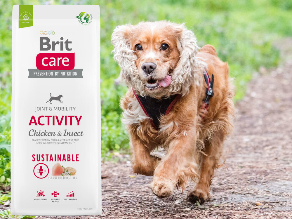 Karma dla psa BRIT CARE Dog Sustainable Activity Kurczak i owady 12 kg dodatki analiza