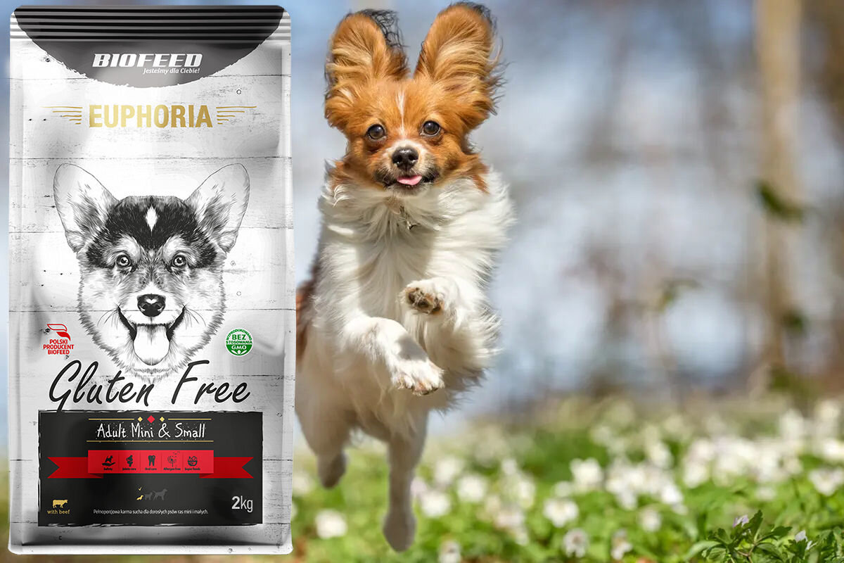 Karma dla psa BIOFEED Euphoria Gluten Free 12 kg dawkowanie analiza sklad