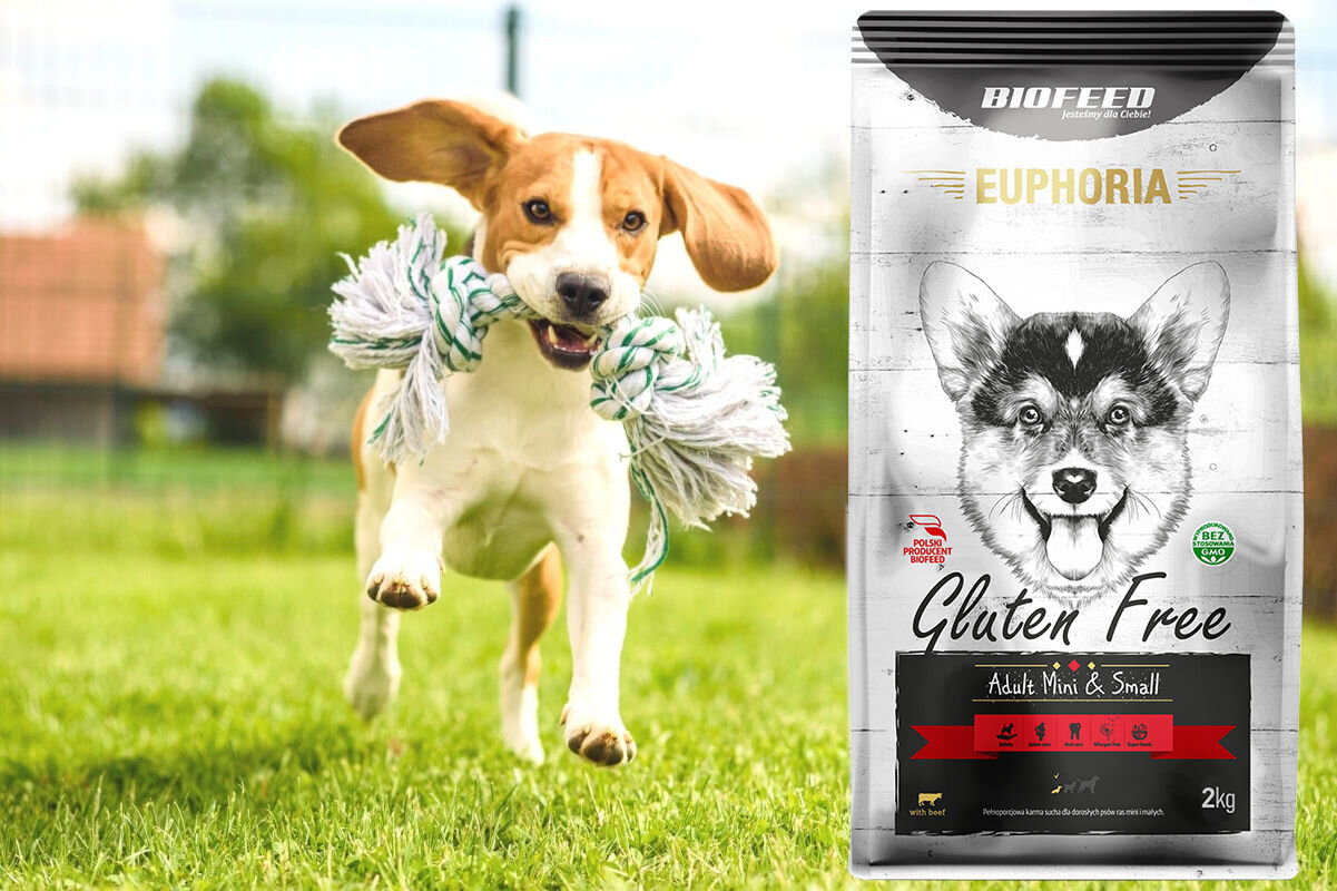 Karma dla psa BIOFEED Euphoria Gluten Free 12 kg witaminy pierwiastki aminokwasy
