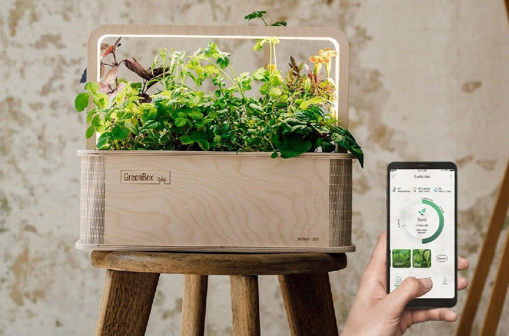 Doniczka BERLINGREEN GreenBox Brązowy aplikacja GreenBox App na Android iOS informacje dotyczace wzrostu roslin nawadnienia gleby plena kontrola nad oswietleniem