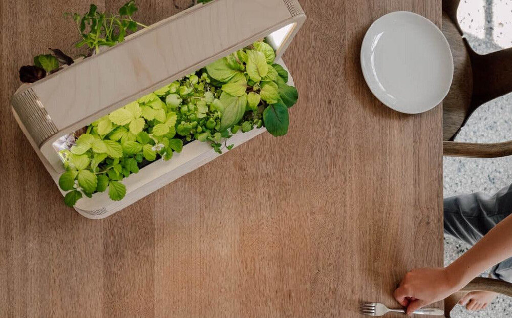 Doniczka BERLINGREEN GreenBox Brązowy 8 miejsc na 8 roznych roslin technologia PlantPlug calkowicie pozbawiona brudu uprawa ziol salat warzyw lisciastych malych kwiatow efekty po 3 dniach