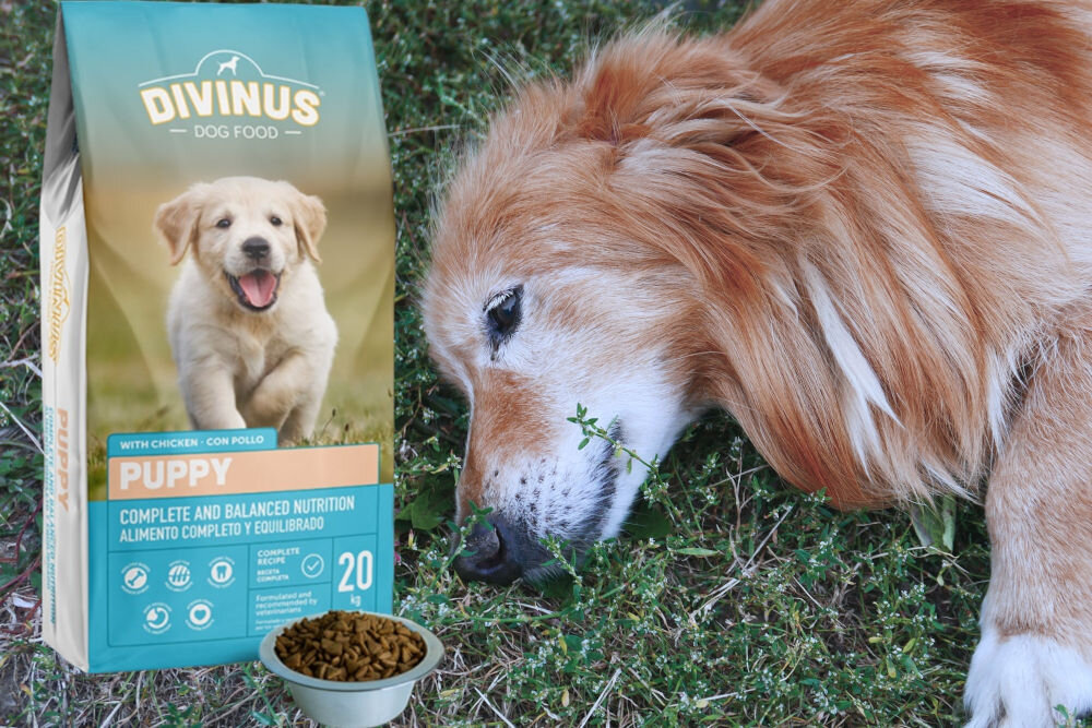Karma dla psa DIVINUS Puppy Kurczak 20 kg dawkowanie analiza sklad
