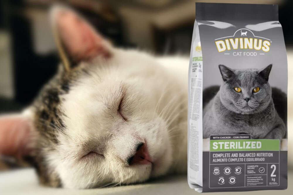 Karma dla kota DIVINUS Cat Sterilized Kurczak 2 kg dawkowanie analiza sklad