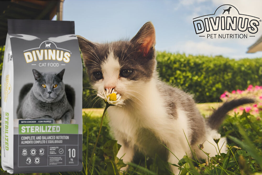 Karma dla kota DIVINUS Cat Sterilized Kurczak 10 kg naturalne składniki
