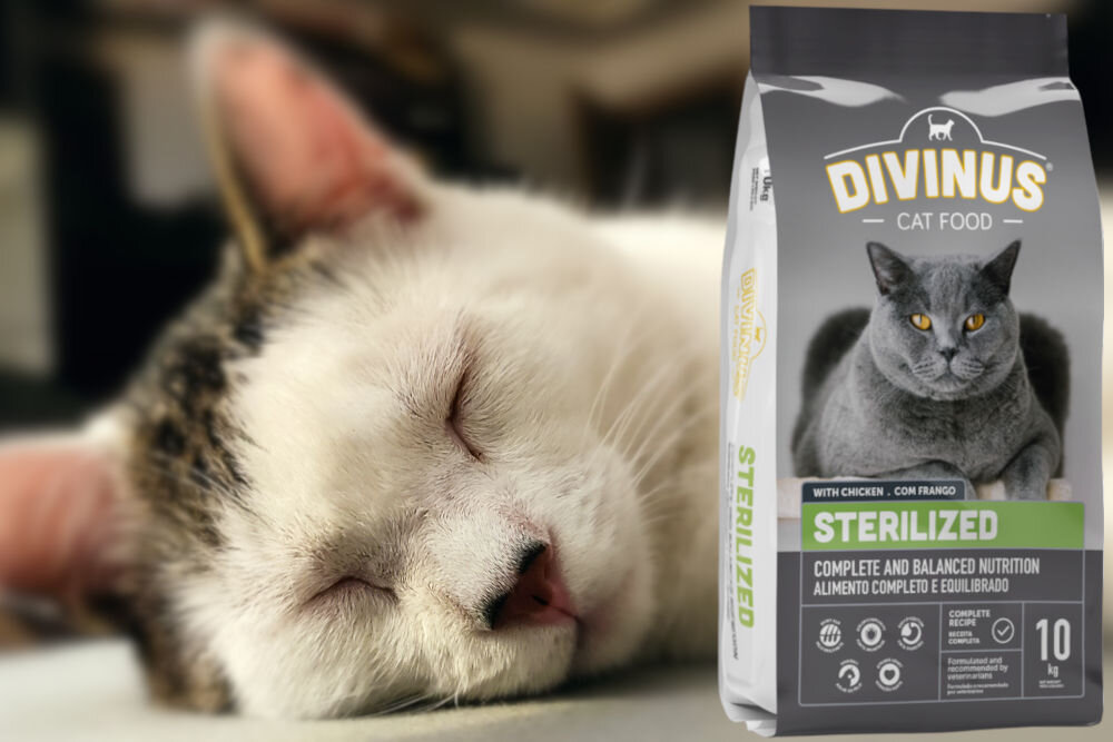 Karma dla kota DIVINUS Cat Sterilized Kurczak 10 kg dawkowanie analiza sklad