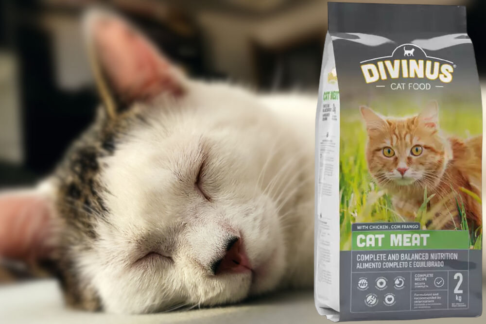 Karma dla kota DIVINUS Cat Meat Mięsny 2 kg dawkowanie analiza sklad