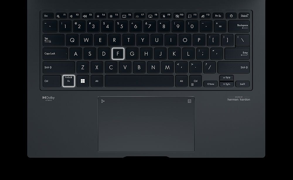 Laptop ASUS ZenBook 14X - Whisper 