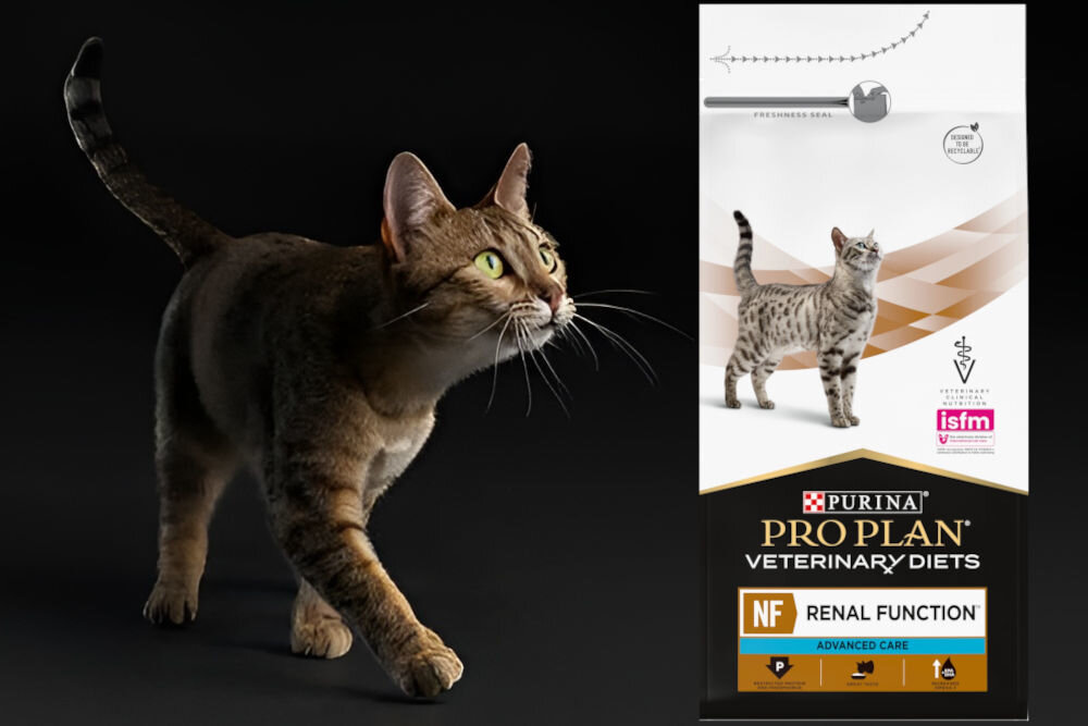 Karma dla kota PURINA Pro Plan Veterinary Diets Feline Hp Hepatic 1,5 kg sklad zywienie