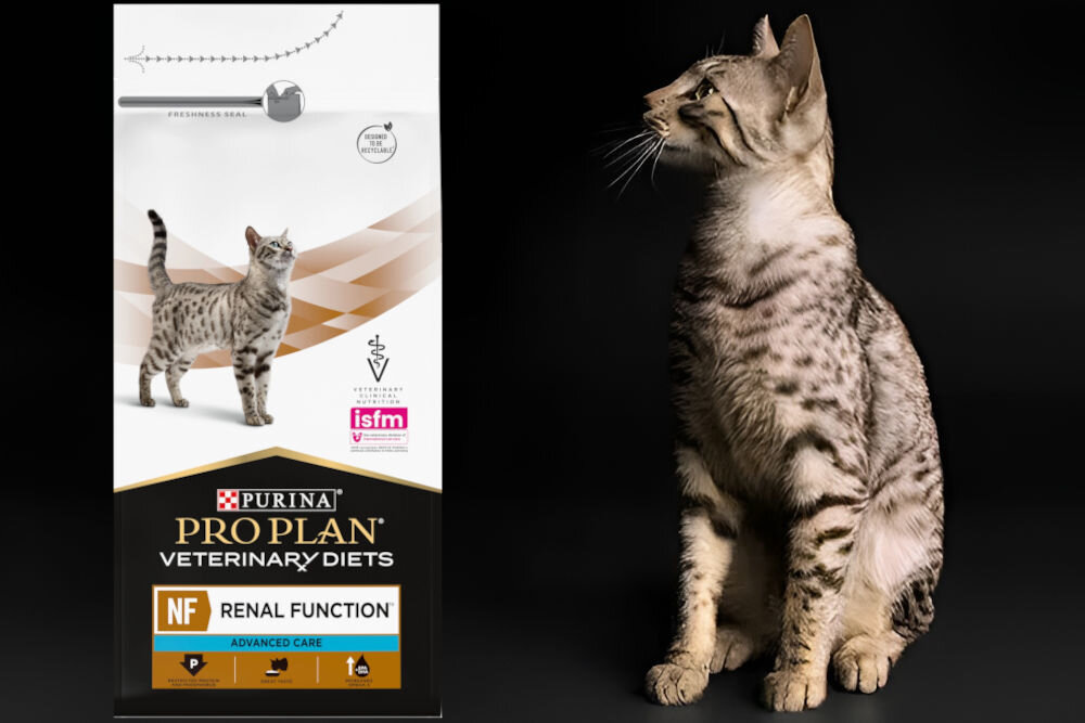 Karma dla kota PURINA Pro Plan Veterinary Diets Feline Hp Hepatic 1,5 kg dodatki analiza