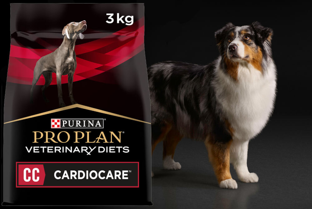 Karma dla psa PURINA Pro Plan Veterinary Diets Canine Cardio Care Drób z ryżem i kukurydzą 3 kg dodatki analiza