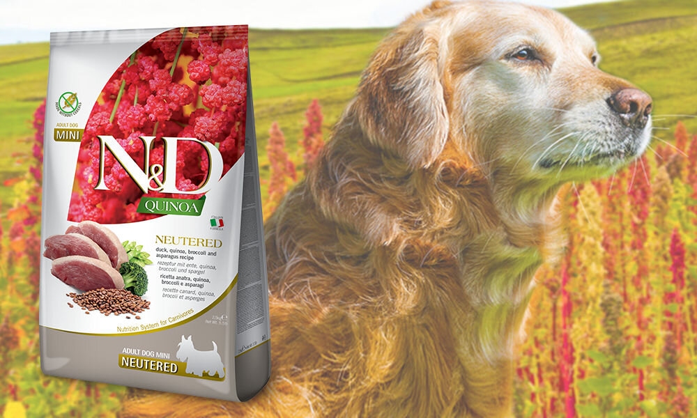 Karma dla psa FARMINA N&D Quinoa Nutered Kaczka z brokułami i szparagami Adult Mini 7 kg dawkowanie analiza sklad