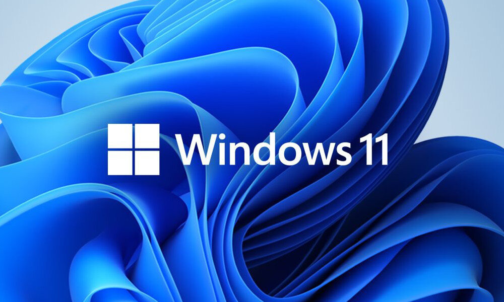 Windows 11 Home system