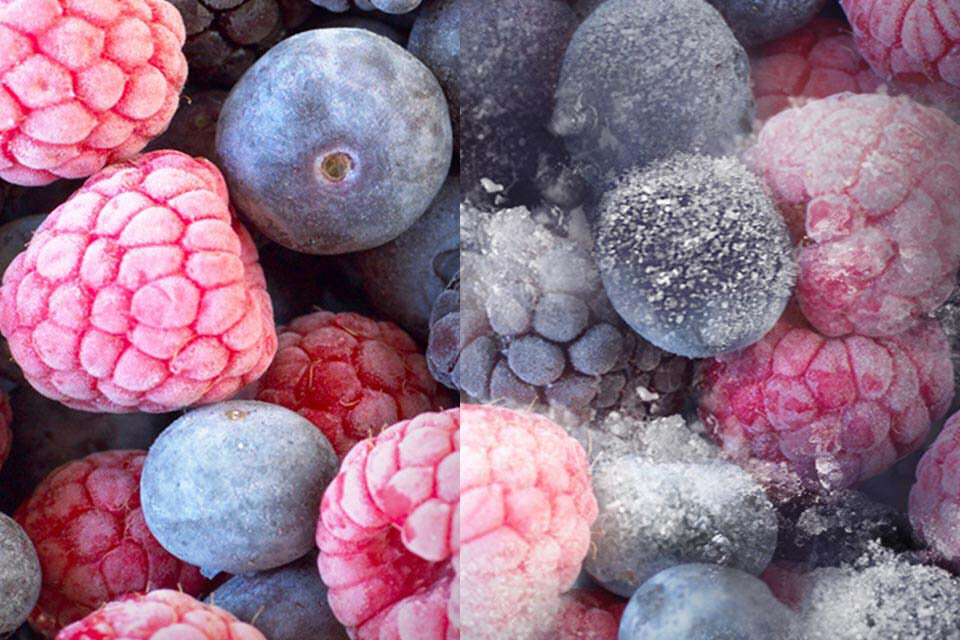  Na zdjęciu widać owoce przechowywane w lodówce bezszronowej (po lewej) i w tradycyjnej