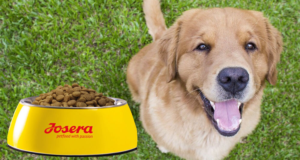 Karma dla psa JOSERA Balance Drób z ryżem i kukurydzą 12.5 kg witaminy pierwiastki aminokwasy