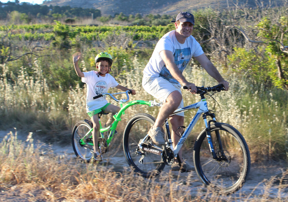 Przyczepka rowerowa WEERIDE Co-Pilot Zielony dla dzieci w wieku od 4 do 9 lat do rowerow z kolami o wielkosci 26 27,5 28 29 cali kolo ma rozmia 20 cali